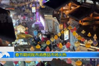 春节期间我市消费品市场火热