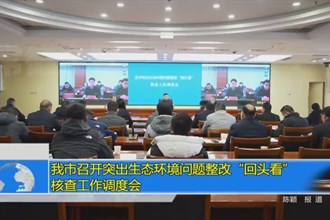 我市召开突出生态环境问题整改“回头看”核查工作调度会