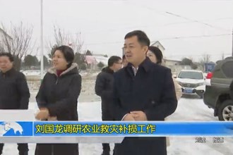 刘国龙调研农业救灾补损工作