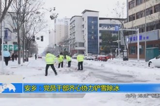 安乡：党员干部齐心协力铲雪除冰