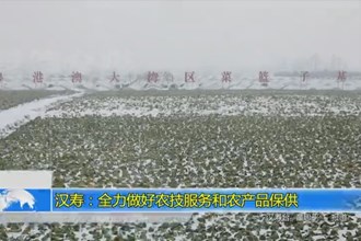 汉寿：全力做好农技服务和农产品保供