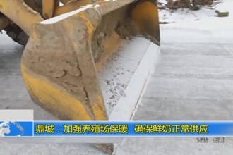 鼎城：加强养殖场保暖 确保鲜奶正常供应