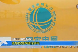 国网石门县供电公司：紧急恢复养殖场供电