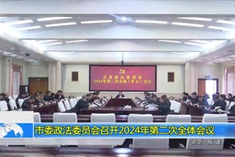 市委政法委员会召开2024年第二次全体会议