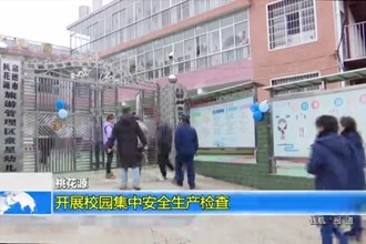 桃花源：开展校园集中安全生产检查
