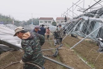 鼎城：抢修育秧大棚 护航春耕生产