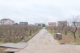 常德市积极打造国家桃花种质资源库