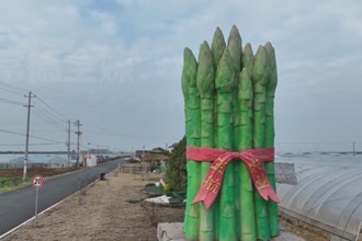 西湖：科技赋能智慧农业 把农作物种上“云端”