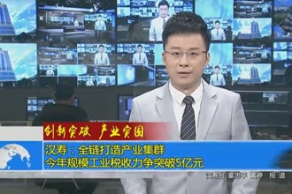 汉寿：全链打造产业集群 今年规模工业税收力争突破5亿元