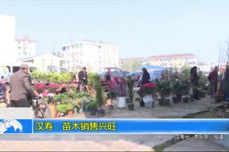 汉寿：苗木销售兴旺