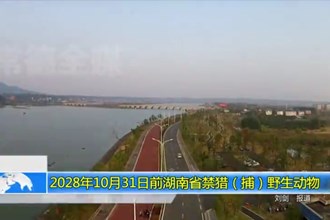 2028年10月31日前湖南省禁猎（捕）野生动物