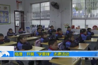 临澧：开展“学雷锋”志愿活动