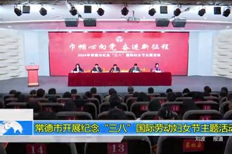常德市开展纪念“三八”国际劳动妇女节主题活动