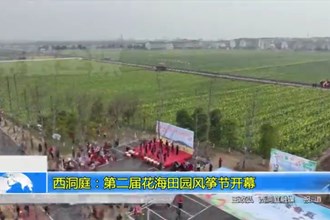 西洞庭：第二届花海田园风筝节开幕