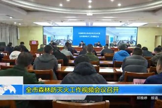 常德市召开全市森林防灭火工作视频会议
