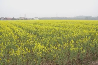 周振宇调研春耕生产和粮食安全工作