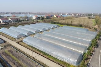 澧县涔南镇：重建蔬菜大棚 不负农时好春光
