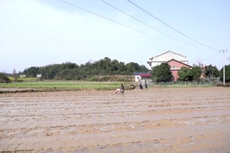鼎城区黄土店镇：抢抓当前晴好天气 按下春耕生产“加速键”
