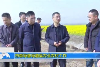 市领导督导澧县农业农村工作