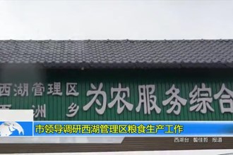市领导调研西湖管理区粮食生产工作