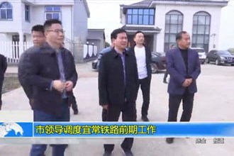 市领导调度宜常铁路前期工作