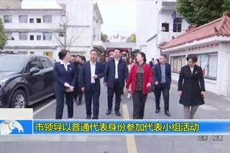 市领导以普通代表身份参加代表小组活动