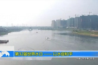 第32届世界水日—以水促和平