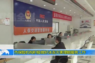 市保险机构积极做好冰冻灾害理赔服务工作