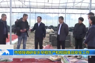 市领导调研安乡早稻生产和校园食品安全工作