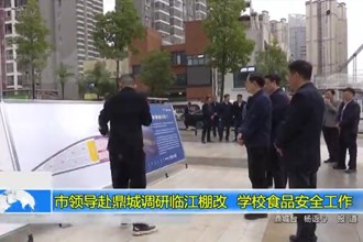 市领导赴鼎城调研临江棚改、学校食品安全工作