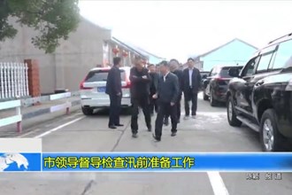 市领导督导检查汛前准备工作