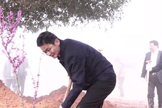 “植”此青绿 不负春光 常德市开展义务植树活动