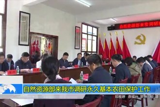自然资源部来我市调研永久基本农田保护工作