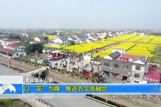 澧县城头山镇：以“花”为媒 推进农文旅融合