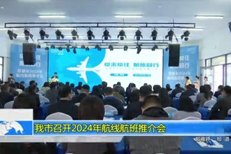 我市召开2024年航线航班推介会