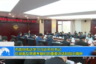 市政协传达学习习近平总书记在湖南及常德考察时的重要讲话和指示精神