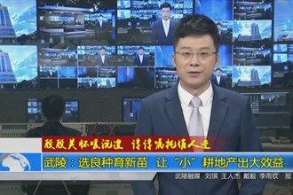殷殷关怀暖沅澧 谆谆嘱托催人进(3.29)