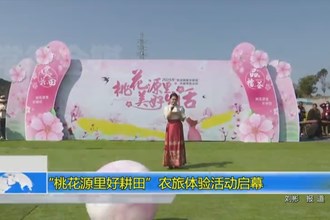 “桃花源里好耕田”农旅体验活动启幕