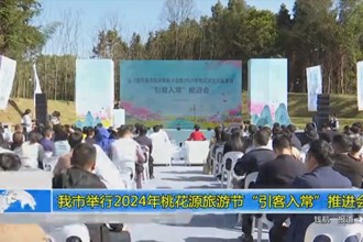 常德市举行2024年桃花源旅游节“引客入常”推进会