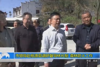 市领导赴桃源县调研督导林长制、森林防火工作