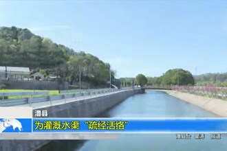 澧县：为灌溉水渠“疏经活络”