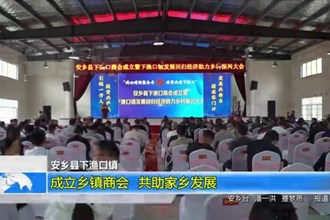 安乡县下渔口镇： 成立乡镇商会 共助家乡发展
