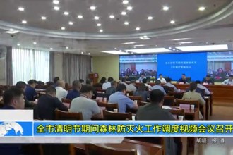 常德市清明节期间森林防灭火工作调度视频会议召开