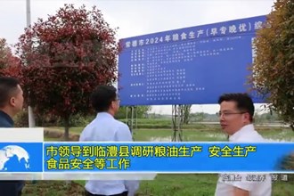 市领导到临澧县调研粮油生产、安全生产、食品安全等工作