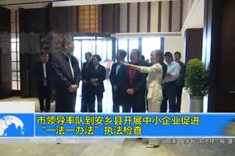 市领导率队到安乡县开展中小企业促进“一法一办法”执法检查