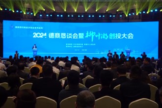 常德市举办2024年德商恳谈会暨柳叶湖创投大会