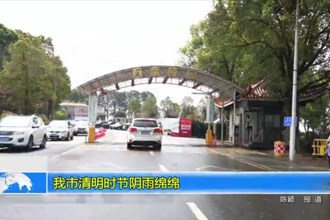 常德市清明时节阴雨绵绵