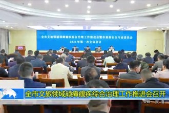 常德市文旅领域顽瘴痼疾综合治理工作推进会召开