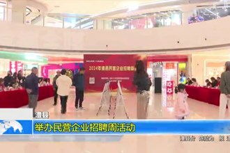 澧县：举办民营企业招聘周活动