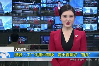 人勤春早(4月10日)
